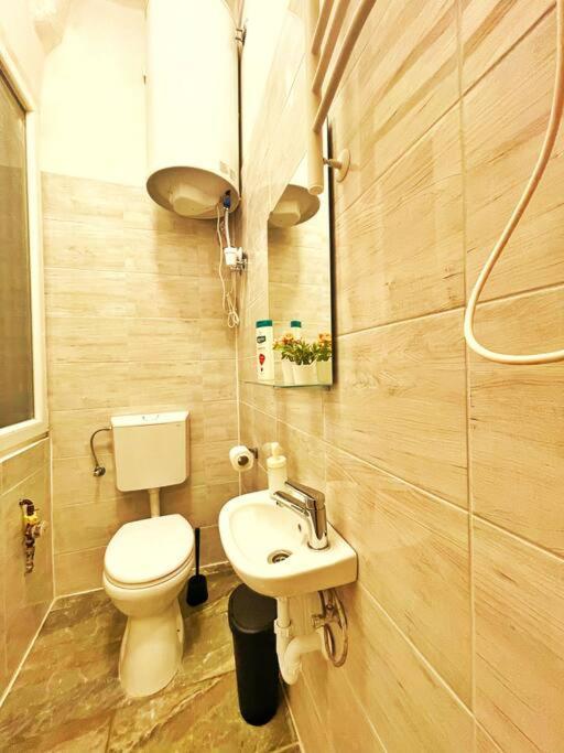 Central Studio Flat Budapest Bagian luar foto